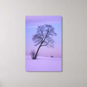 Leaning Tree in Snowy Field; Chippewa County; Canvas Print