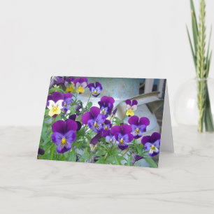 LeAnn's Violets Card