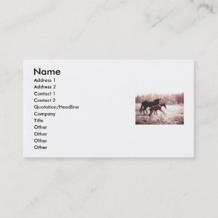 Leap For Joy Foal and Mare Business Card