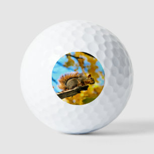 Leap Golf Balls