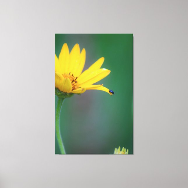 Leap of Faith! Canvas Print (Front)