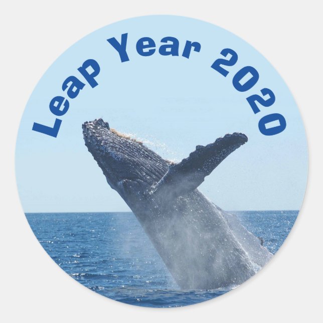 Leap Year 2020 Classic Round Sticker (Front)