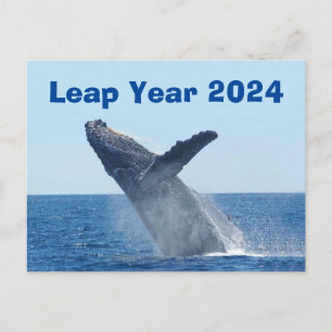 Leap Year 2024 Postcard