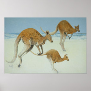 Leaping ahead poster