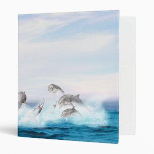 Leaping Dolphins Binder