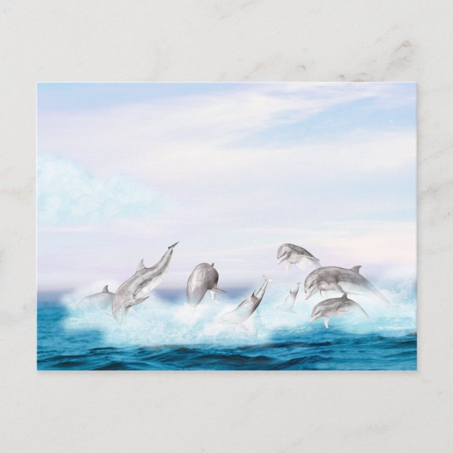 Leaping Dolphins Postcard (Front)