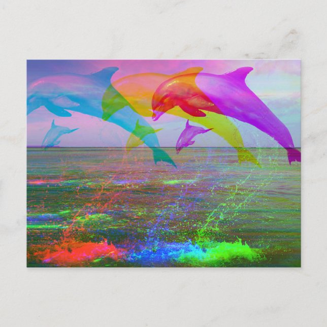 Leaping dolphins rainbow postcard (Front)