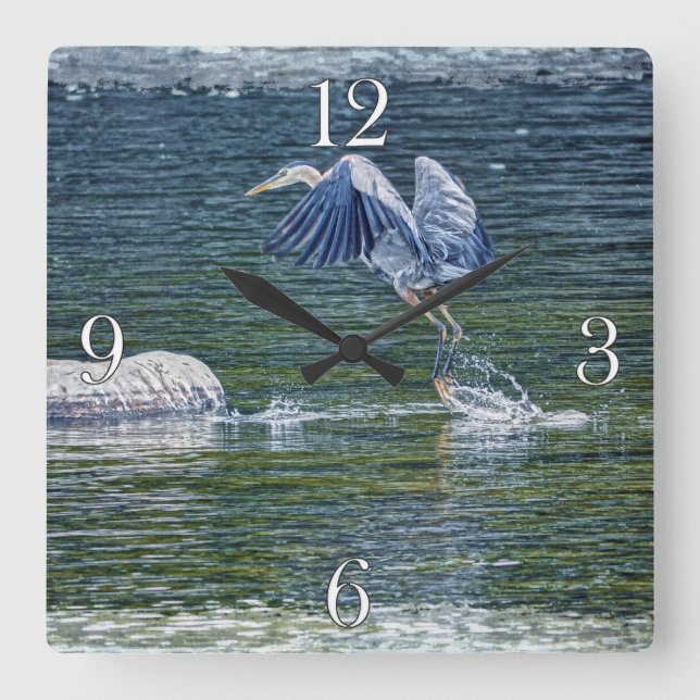 Leaping Great Blue Heron Wildlife Bird Photo 5 Square Wall Clock (Front)
