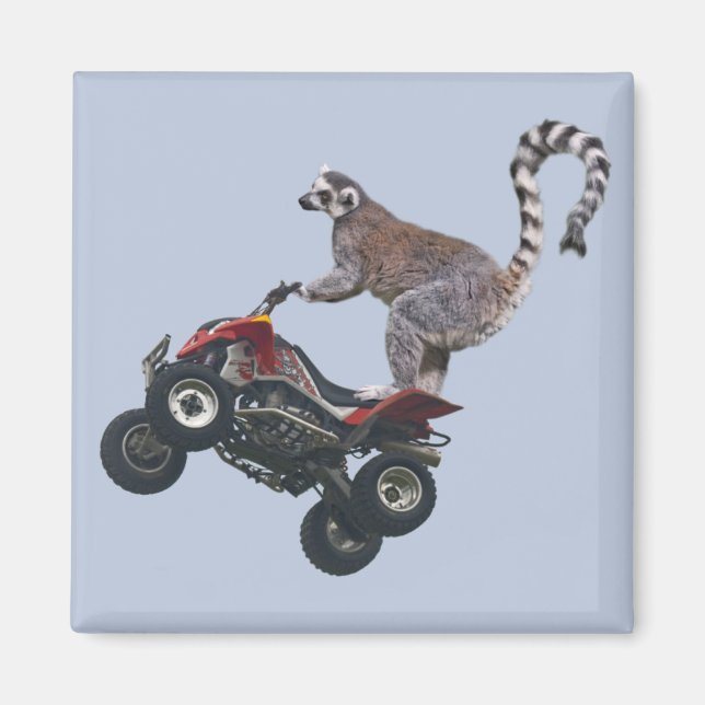 Leaping Lemur Magnet (Front)