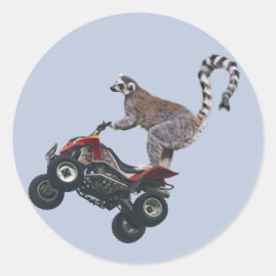 Leaping Lemur Sticker