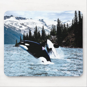 Leaping Orca Mouse Pad