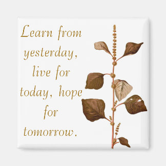 Learn from yesterday, live for today, hope for tom magnet