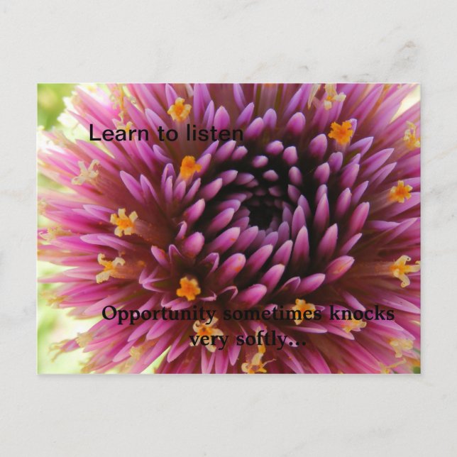 Learn to listen, Opportunity sometime... Postcard (Front)