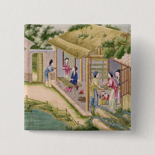 Learning about Silkworms 2 Inch Square Button (Front)