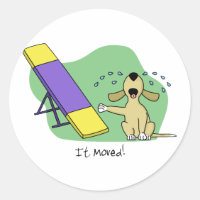 Learning the Teeter Agility
