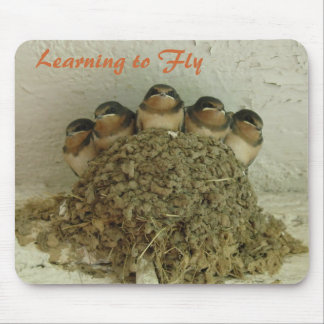 Learning to Fly Mouse Pad