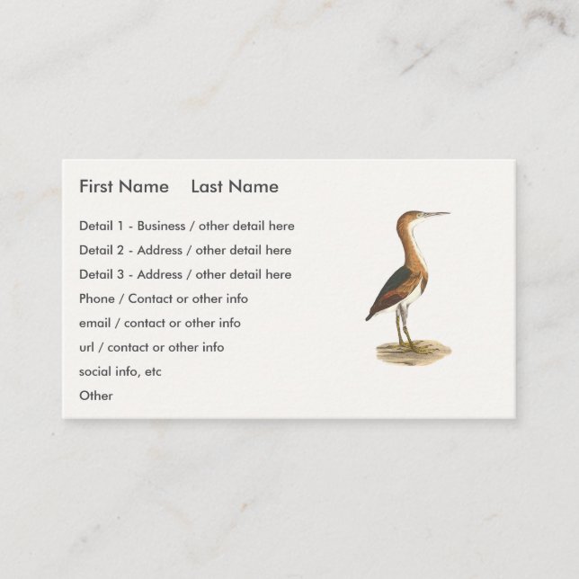 Least Bittern (Ixobrychus exilis) New York Birds Business Card (Front)