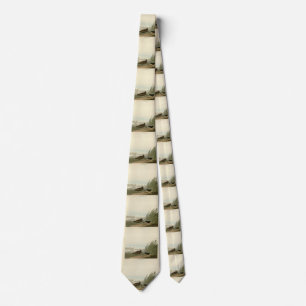 Least Water-hen from  Audubon's Birds of America Tie