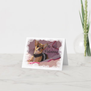 Leather Pink Bubbles Frame Be My Valentine Holiday Card