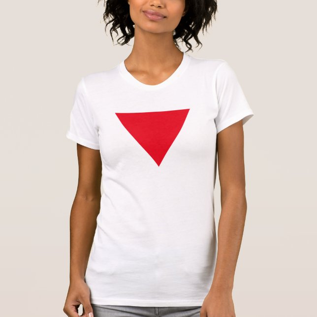 Leather Queer Pride T-Shirt (Front)