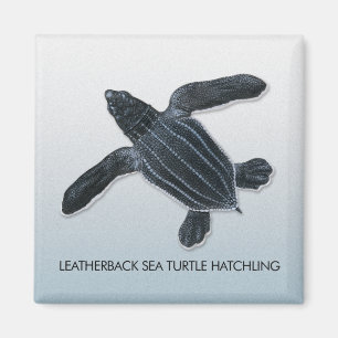 Leatherback Sea Turtle Hatchling Magnet