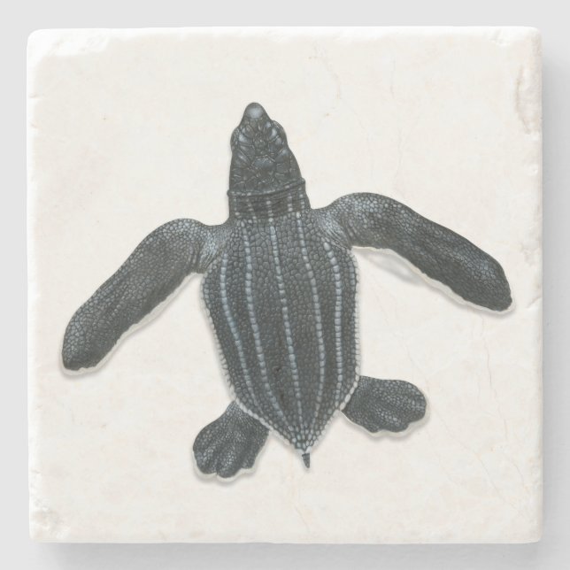 Leatherback Sea Turtle Stone Coaster (Front)