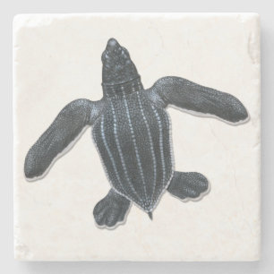 Leatherback Sea Turtle Stone Coaster