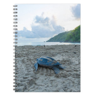 Leatherback Turtle Note Book
