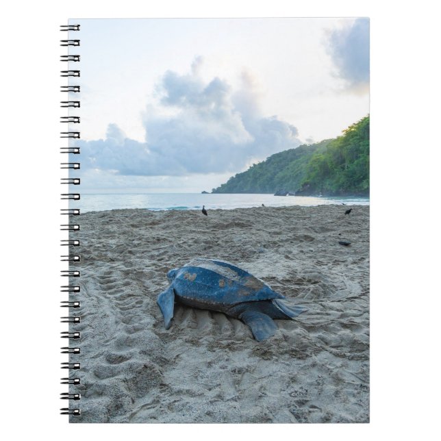 Leatherback Turtle Note Book (Front)