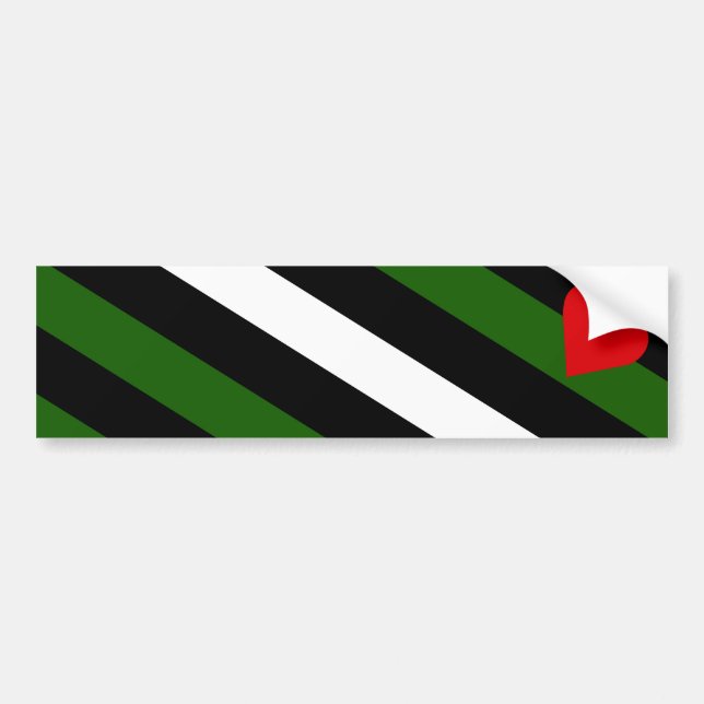 Leatherboy Flag Bumper Sticker (Front)