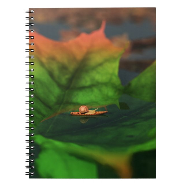 L'Eau Est Large Carnet (Devant)