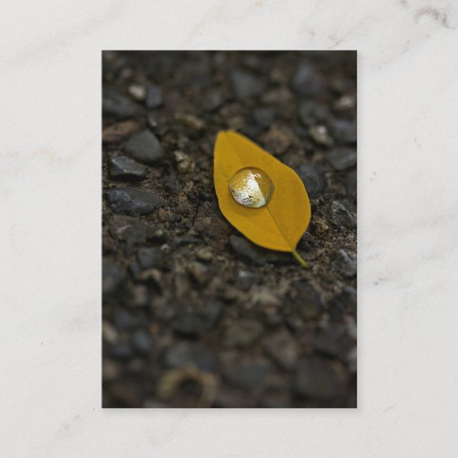 L'eau tourne les cartes de visite nacrés (Devant)