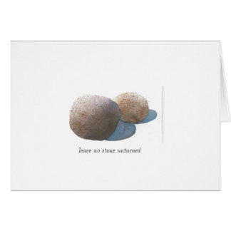 Leave no stone unturned