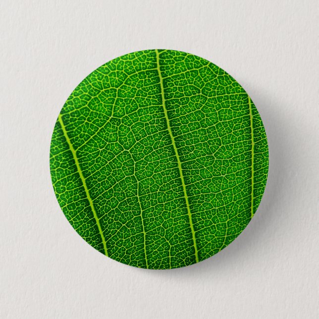 leaves 2 inch round button (Front)