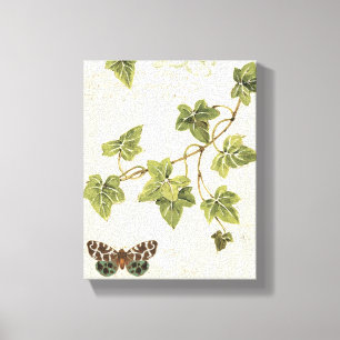 Leaves and a Butterfly Canvas Print