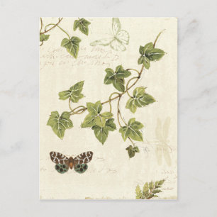 Leaves and a Butterfly Postcard