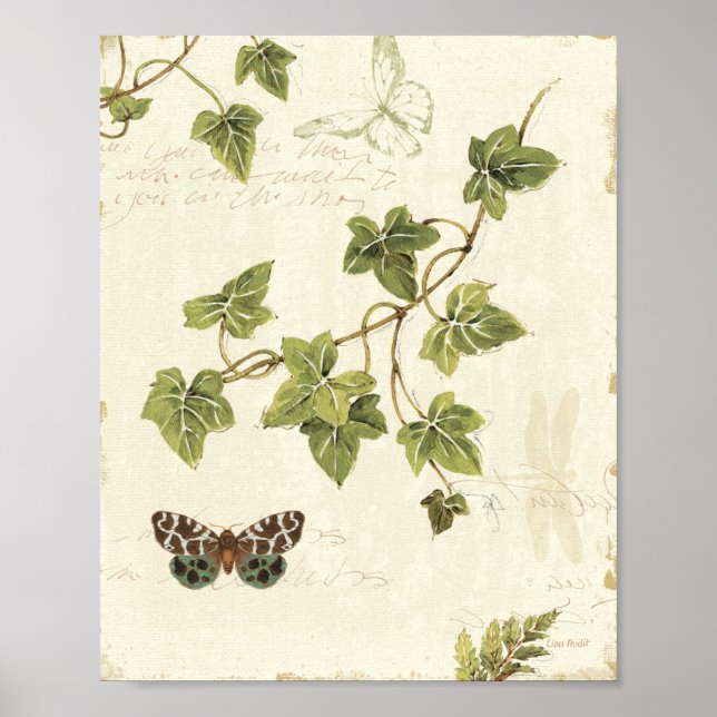 Leaves and a Butterfly Poster (Front)