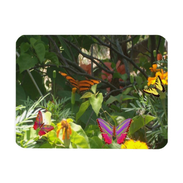 Leaves and Butterflies Premium Magnet (Horizontal)