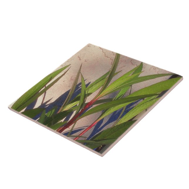 Leaves and Shadows Tile (Side)