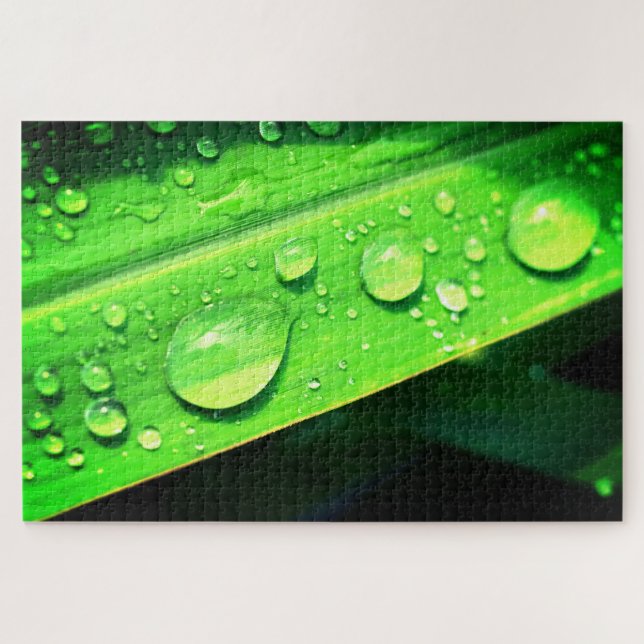 Leaves and Water Droplets Jigsaw Puzzle (Horizontal)