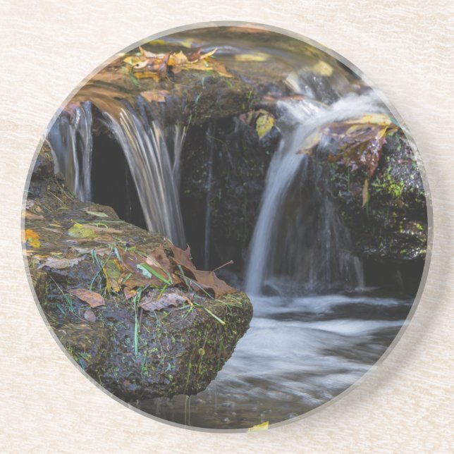 Leaves And Waterfalls Coaster (Front)