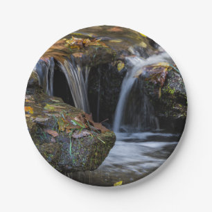 Leaves And Waterfalls Paper Plate
