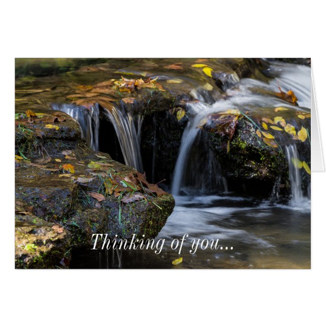 Leaves And Waterfalls Thinking Of You Card (Front Horizontal)