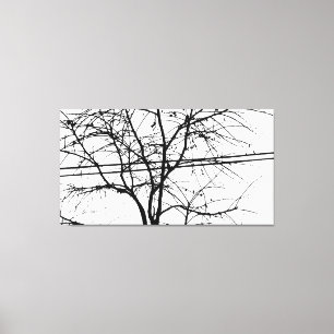 Leaves, Branches And Power Lines In the Fall Canvas Print