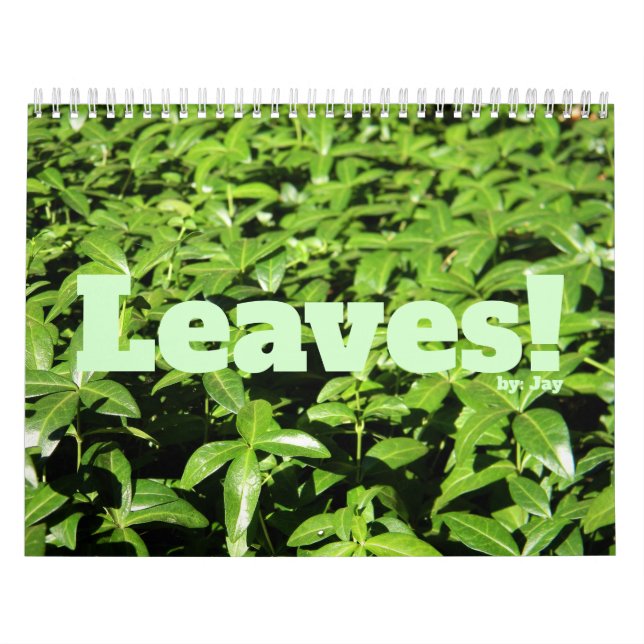 Leaves! Calendar (Cover)