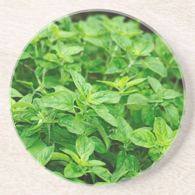 Leaves Coaster (Front)