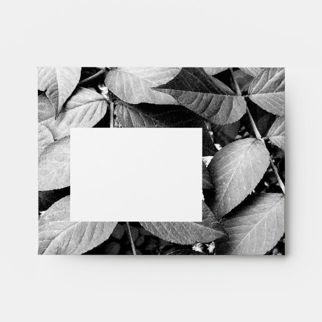 Leaves Envelopes (Front)