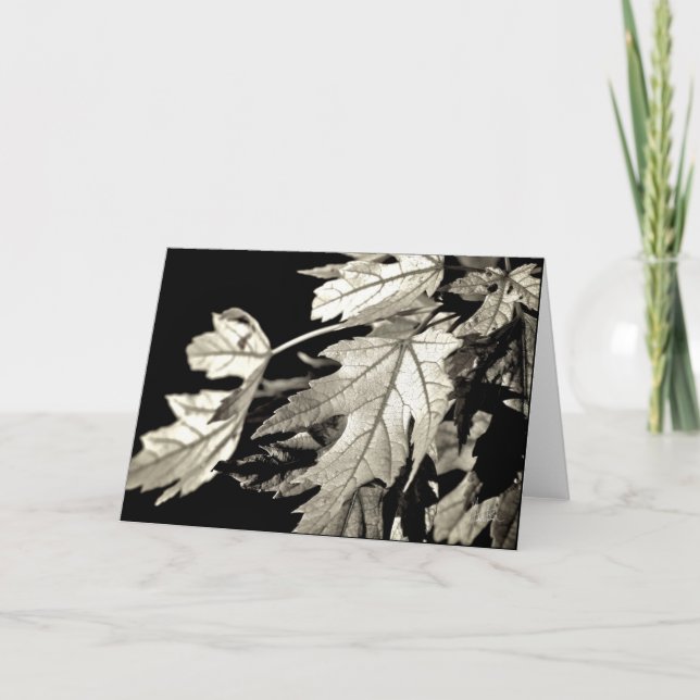 Leaves [Greeting Card] Card (Front)