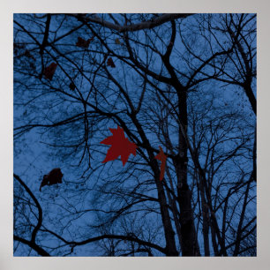 leaves in moonlight poster