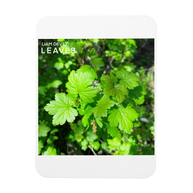 Leaves Magnet (Vertical)